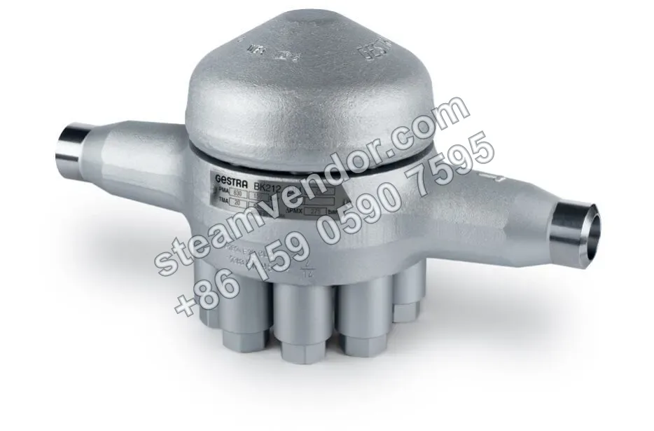 Three-quarter view of the Gestra BK212 bimetallic steam trap