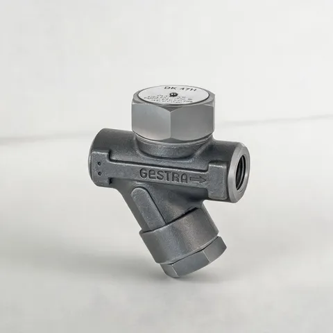 DK47 Thermodynamic Steam Trap | Gestra