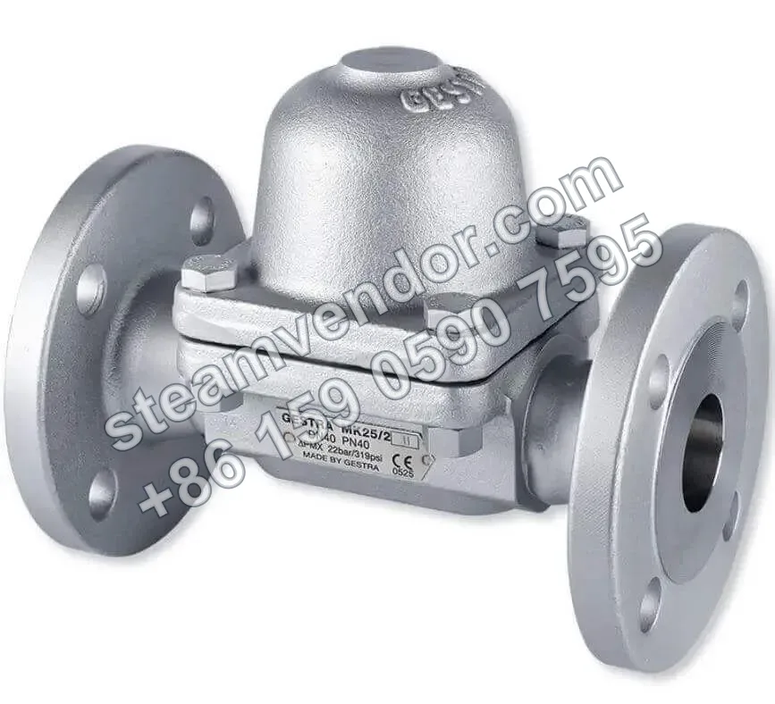 Gestra MK25-2 double-flanged bimetallic steam trap