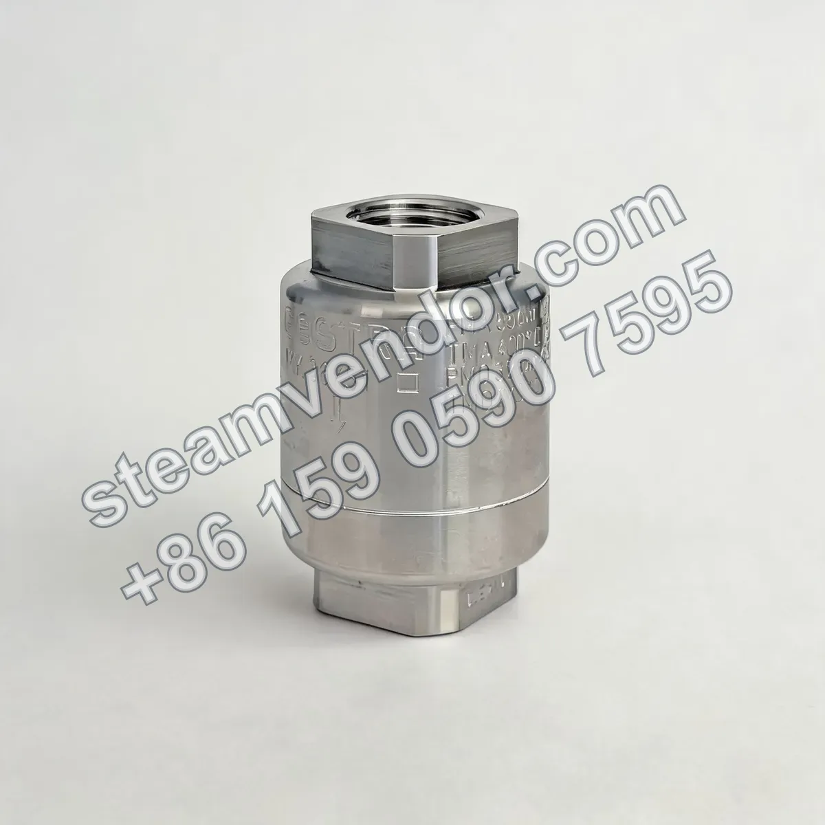 Gestra bimetallic steam trap MK36/51, side view