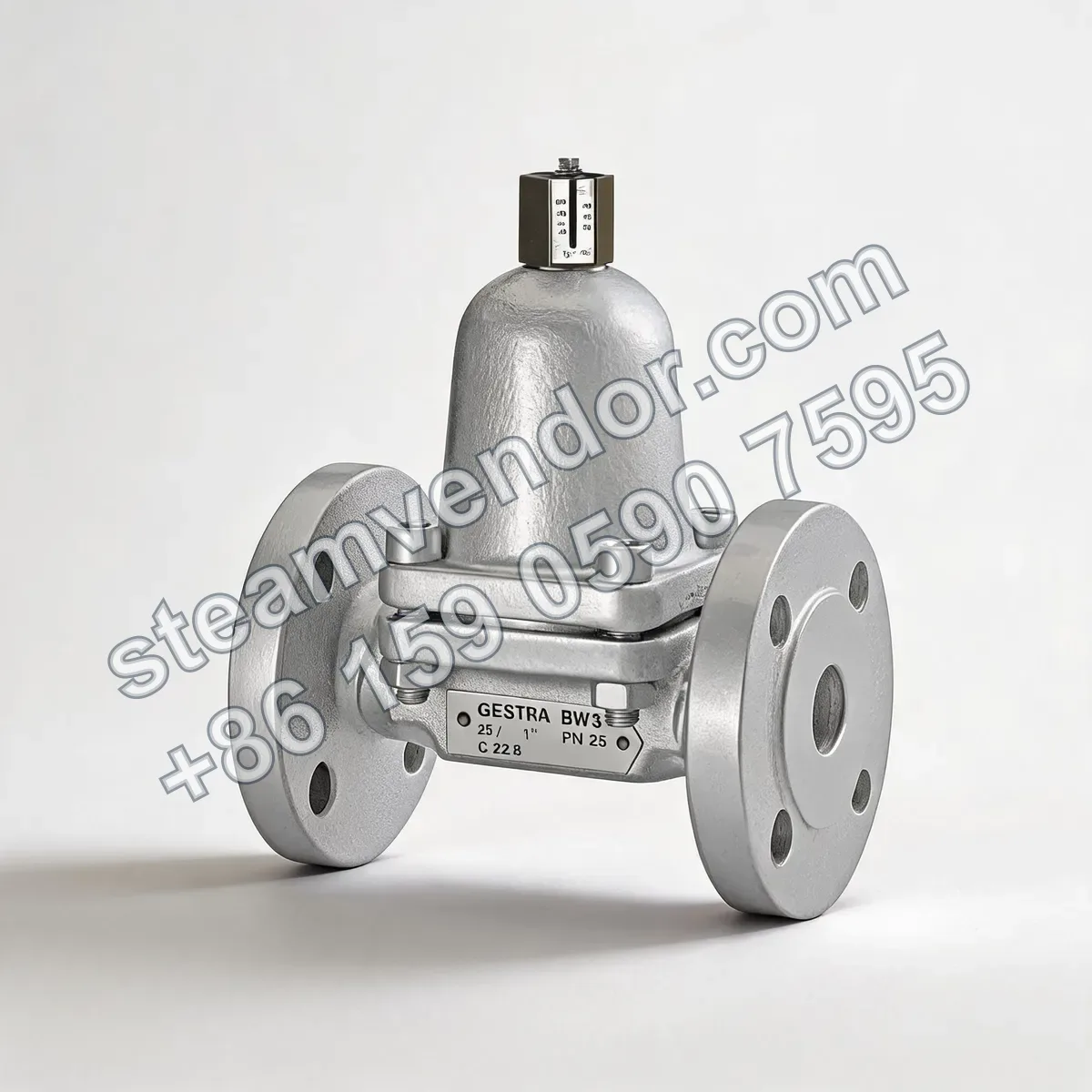 Gestra BW31 return temperature control valve