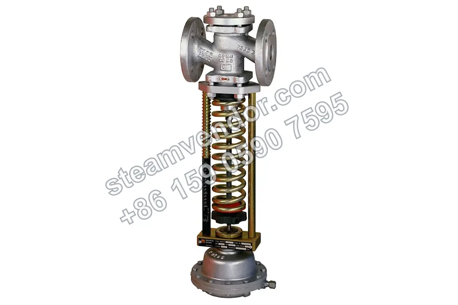 Gestra Overflow Valve 5610
