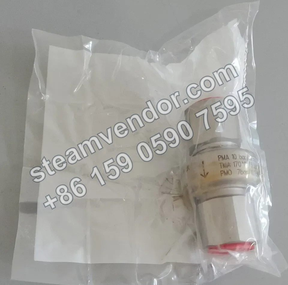 BTS7 Stainless Steel Clean Steam Trap Product Photo 2
