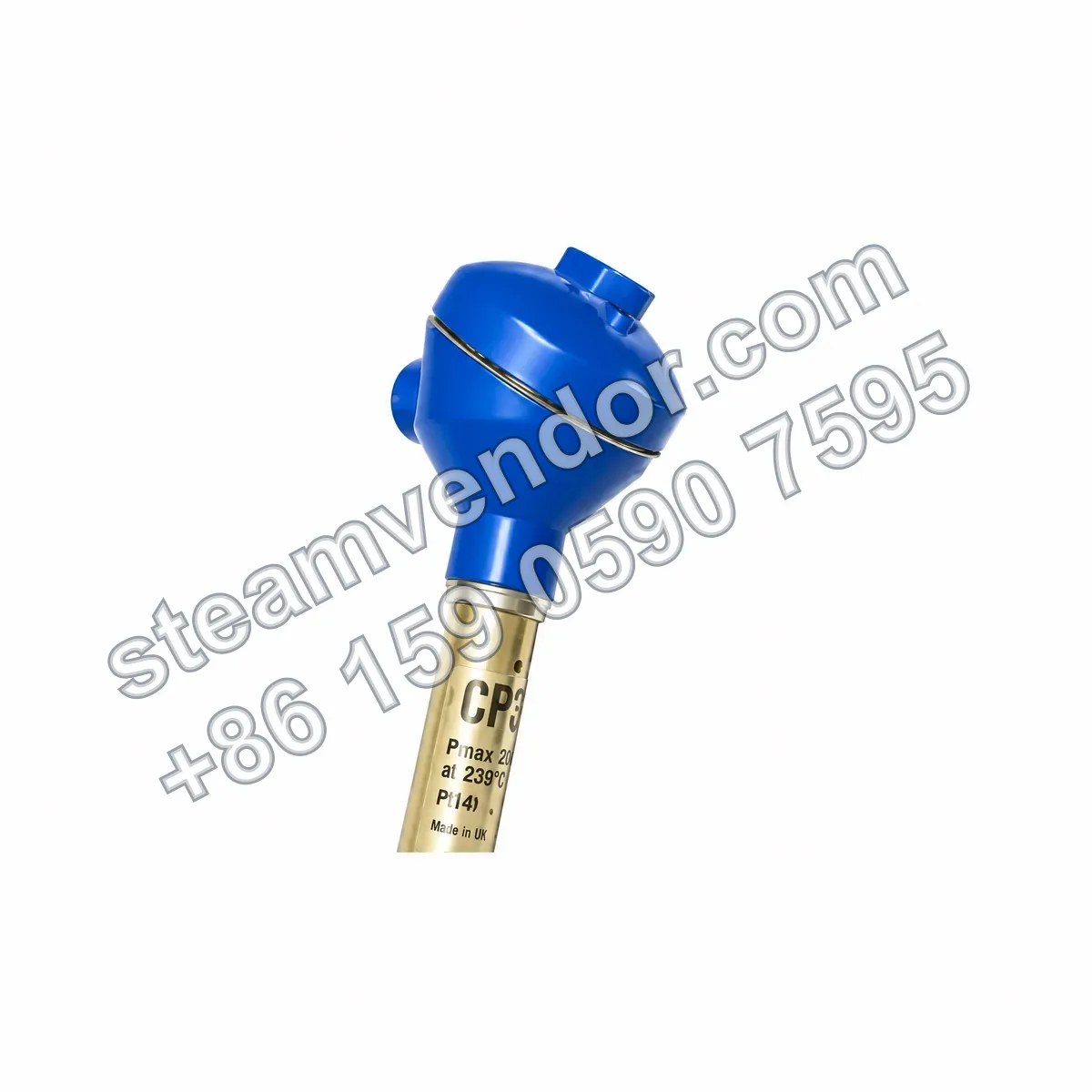 Spirax Sarco CP32 dual-probe conductivity sensor, angled view