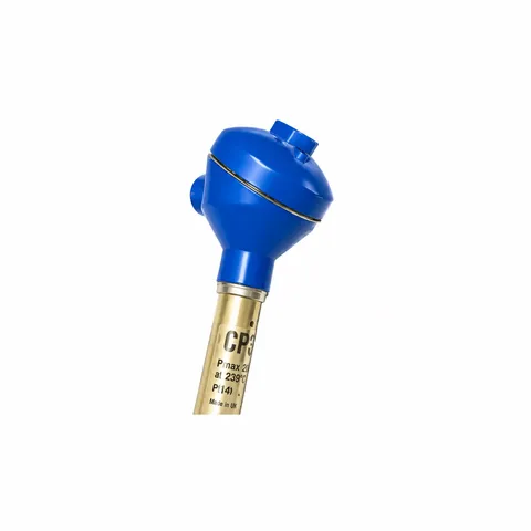CP32 Dual-Electrode Conductivity Sensor | Spirax Sarco
