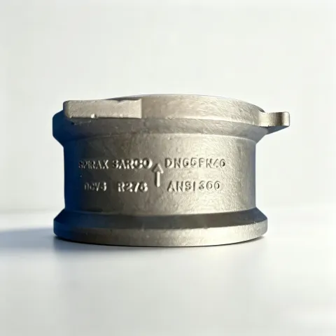 Spirax Sarco DCV6 Stainless Steel Wafer-Pattern Disc Check Valve