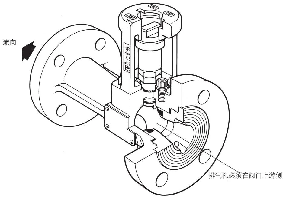 Blowdown Valve Flow Direction and Vent Hole Schematic