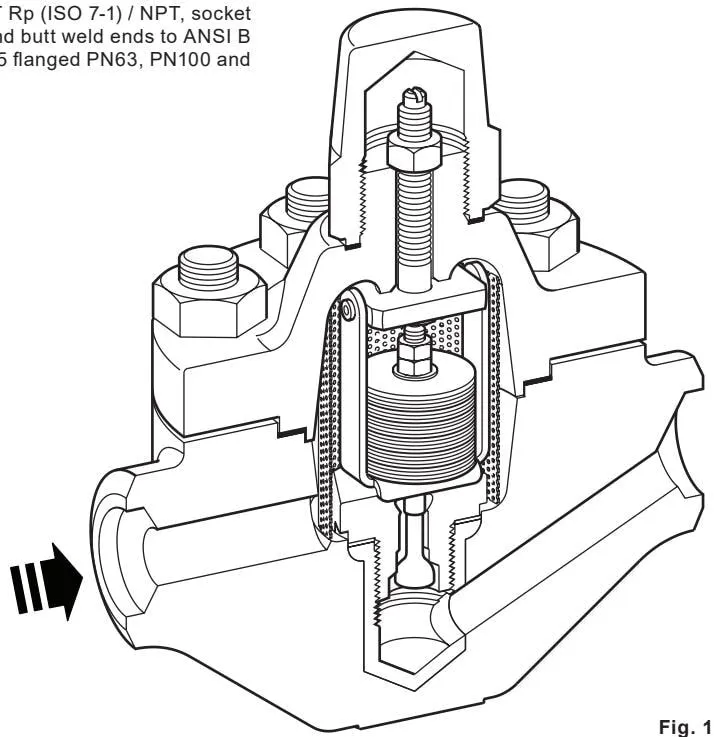 Fig. 1 Sizes and pipe connections