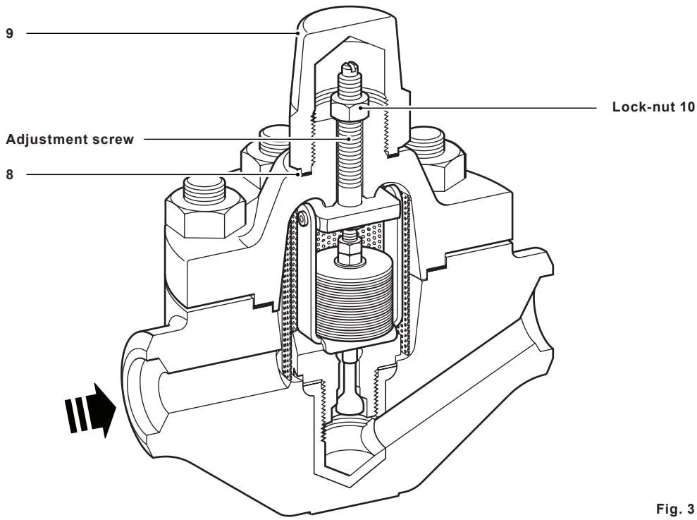 Figure 3 Adjustment screw