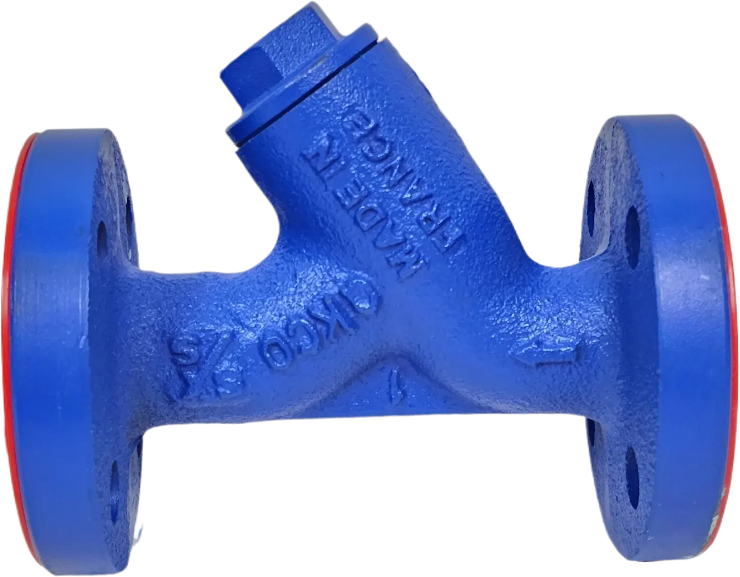 Spirax Sarco Fig33 ductile iron flanged Y-type strainer in a real-world setting