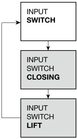 INPUT submenu blowdown valve and burner switch settings diagram