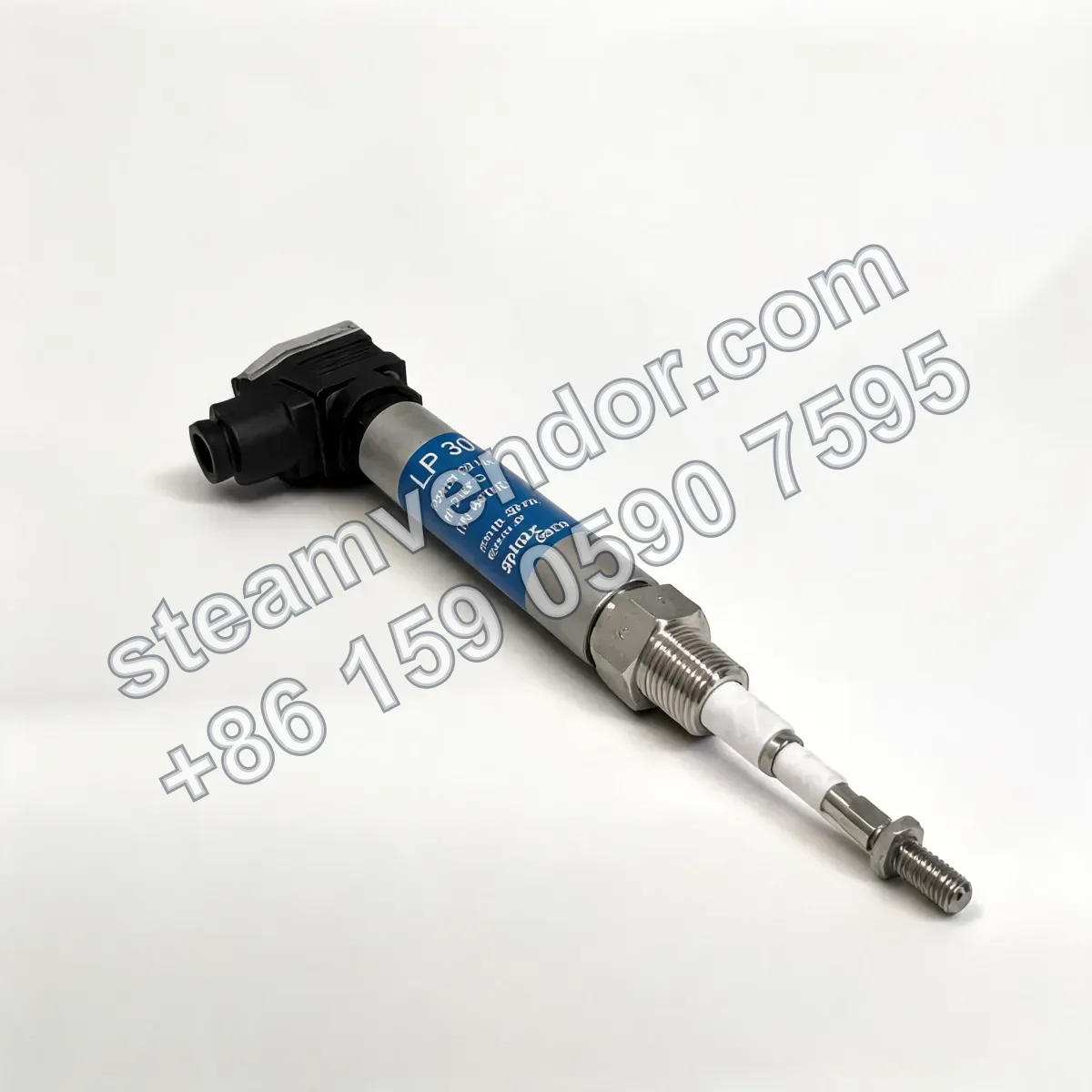 Spirax Sarco LP30 self-monitoring level sensor product photo