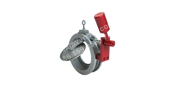 Bray SA16 Series External Weight and Lever Accessory Rear Open View