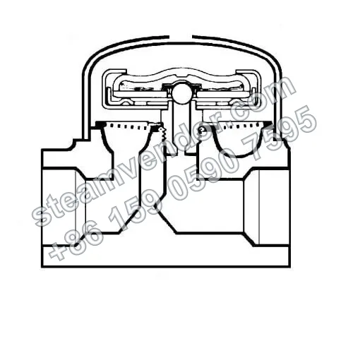 SBP30 Sealed Balanced-Pressure Thermostatic Steam Trap Real Product Image 2