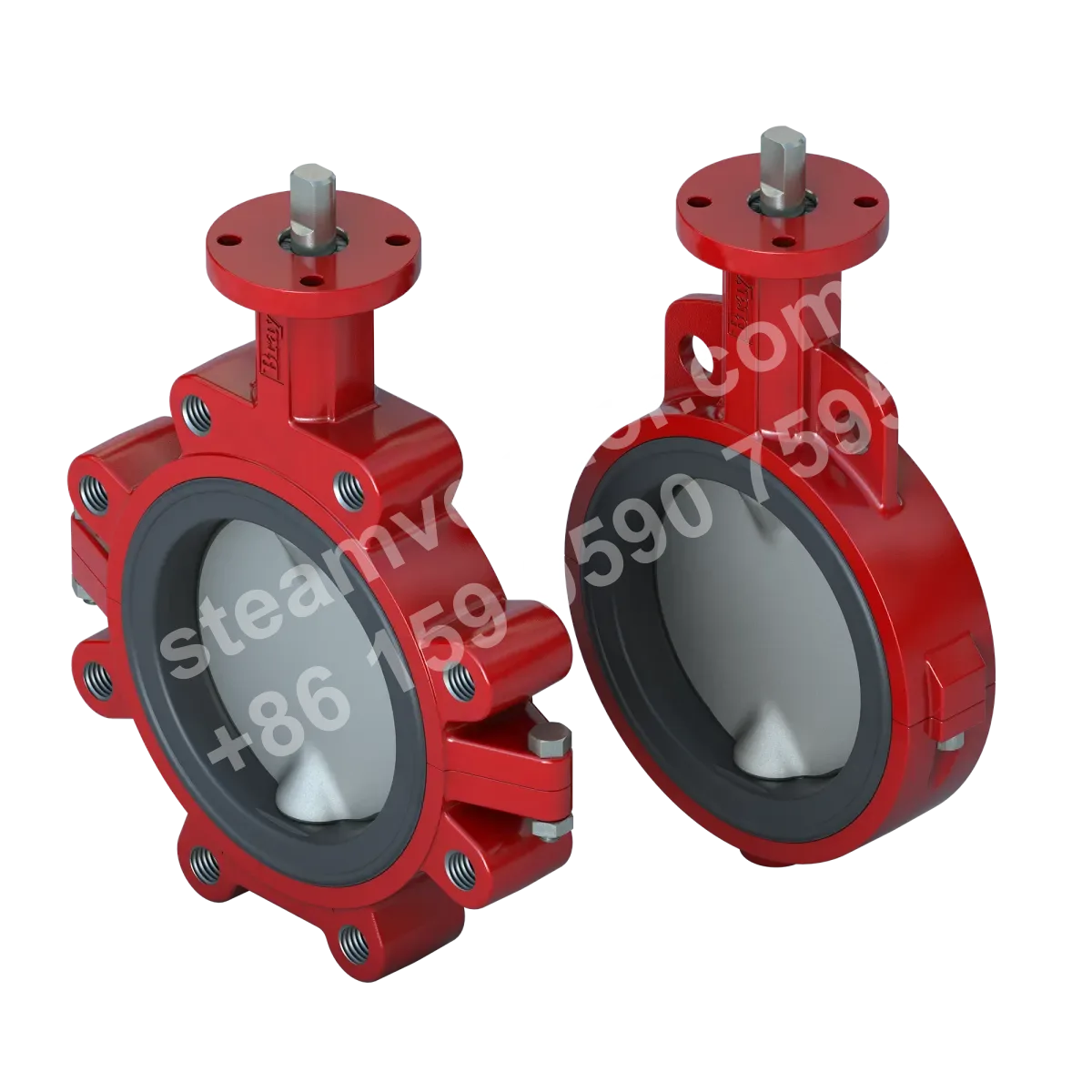 20/21 Series BFV Valve