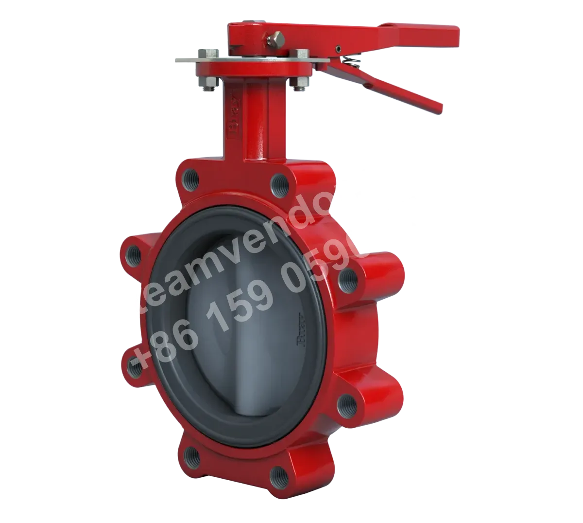 31H Series Resilient Seated Butterfly Valve Product View