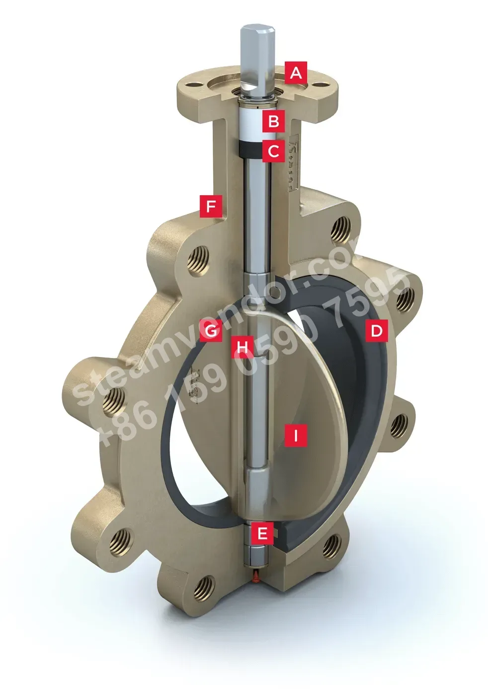31U Series Resilient Seated Butterfly Valve Product View