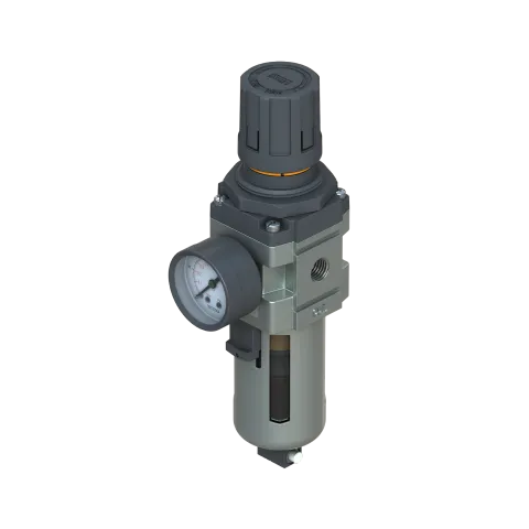 Bray Series 55 Filter Regulator (5 Micron High-Precision)