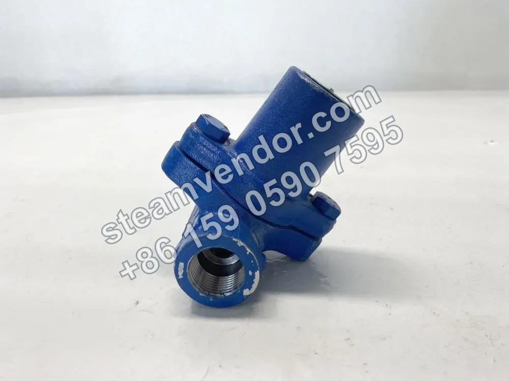 SMC32/SMC32Y Bimetallic Steam Trap Real-World Photo 1