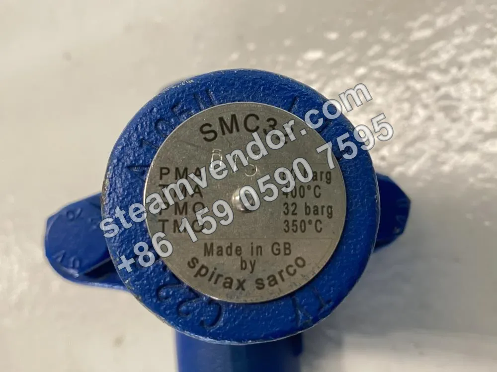 SMC32/SMC32Y Bimetallic Steam Trap Real-World Photo 3