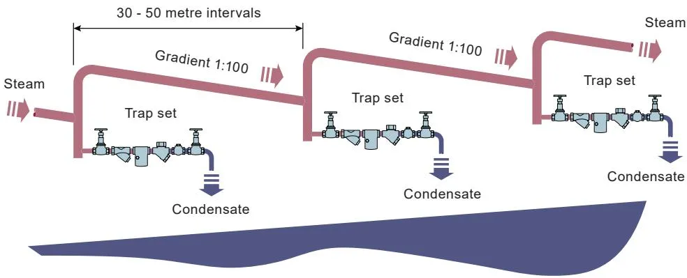 Steam main drainage
