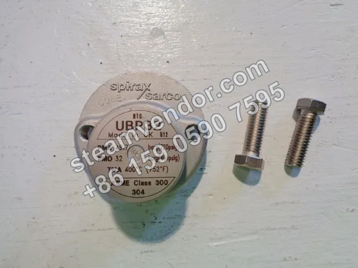 UBP32 Sealed Pressure-Balanced Thermostatic Steam Trap, Real-World Photo 1
