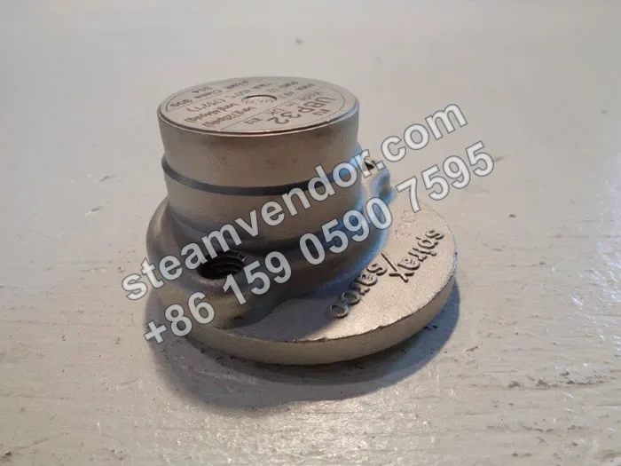 UBP32 Sealed Pressure-Balanced Thermostatic Steam Trap, Real-World Photo 2