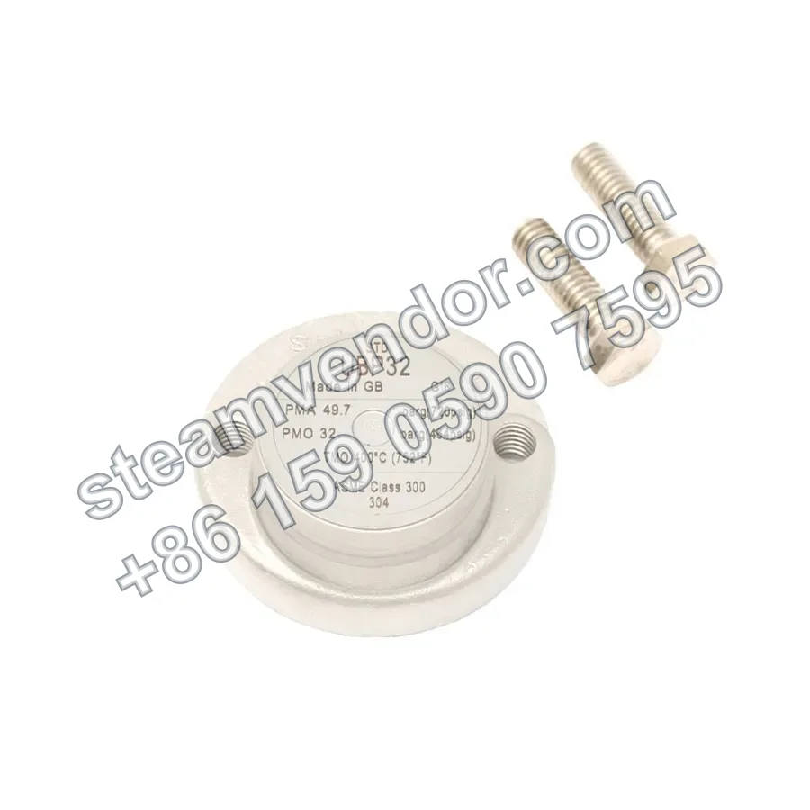 UBP32 Sealed Pressure-Balanced Thermostatic Steam Trap, Real-World Photo 4